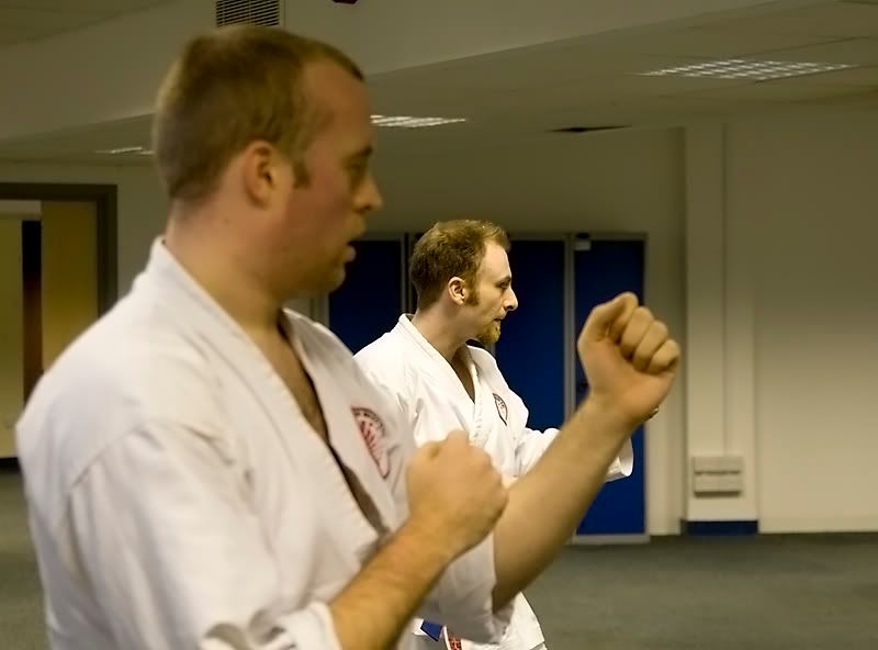 IMAGE: http://i13.photobucket.com/albums/a294/peteghia/Wado%20Kai%20Karate/IMG_4116.jpg