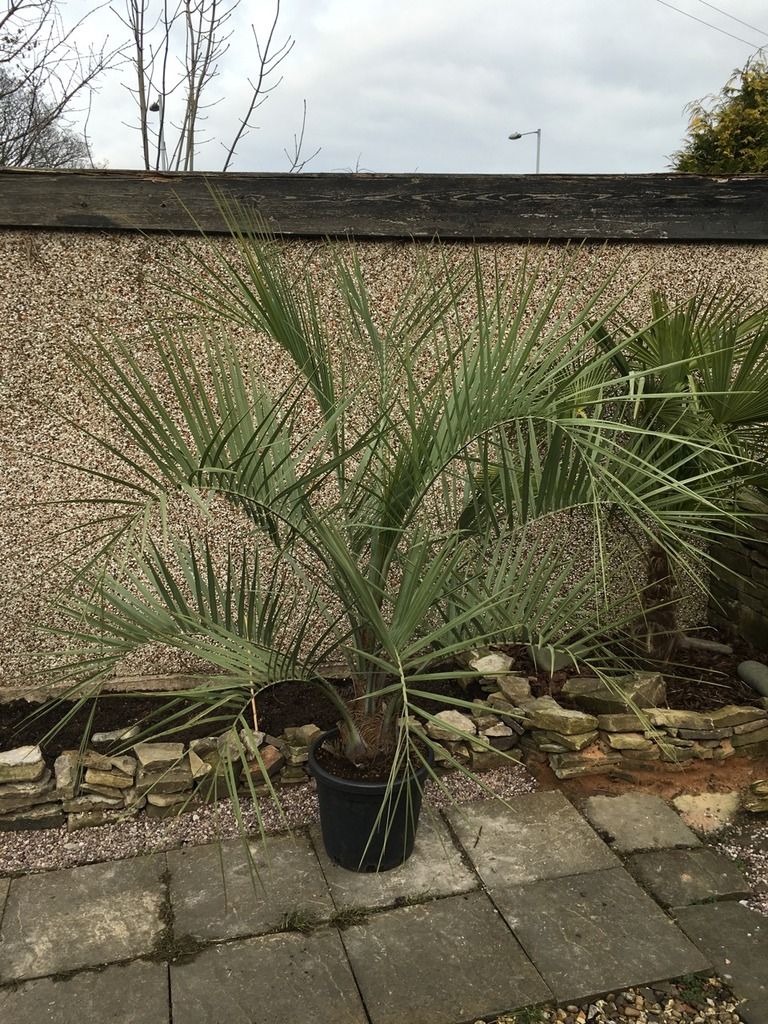 CBBB2DA7-4074-4C6F-8473-B3499F6E1D48_zps