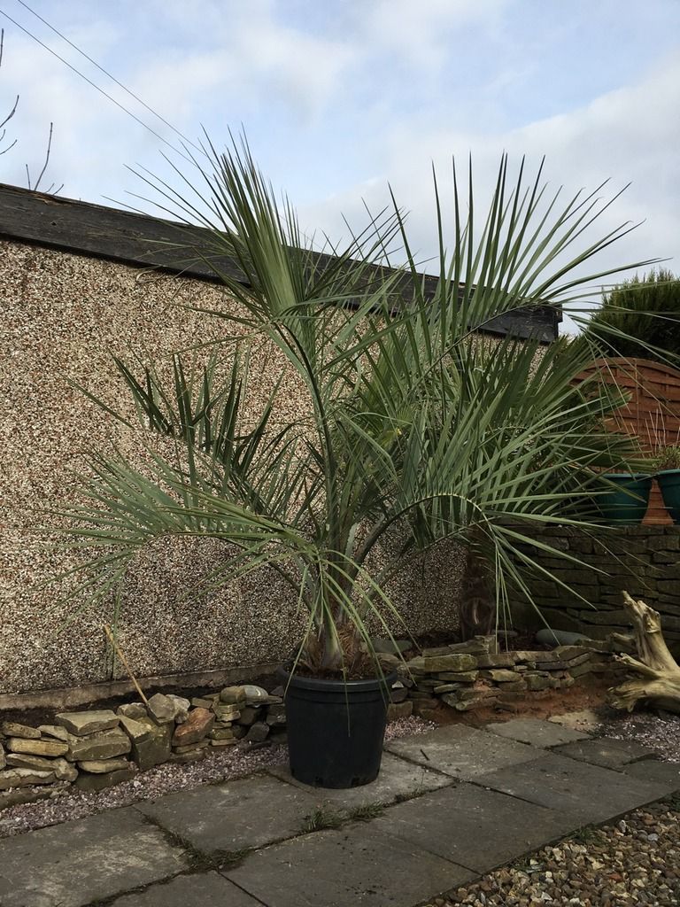 FD3FD7A0-D7FC-40B6-B24D-132BFCD2ED61_zps