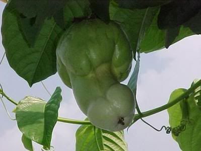 Картинка дня