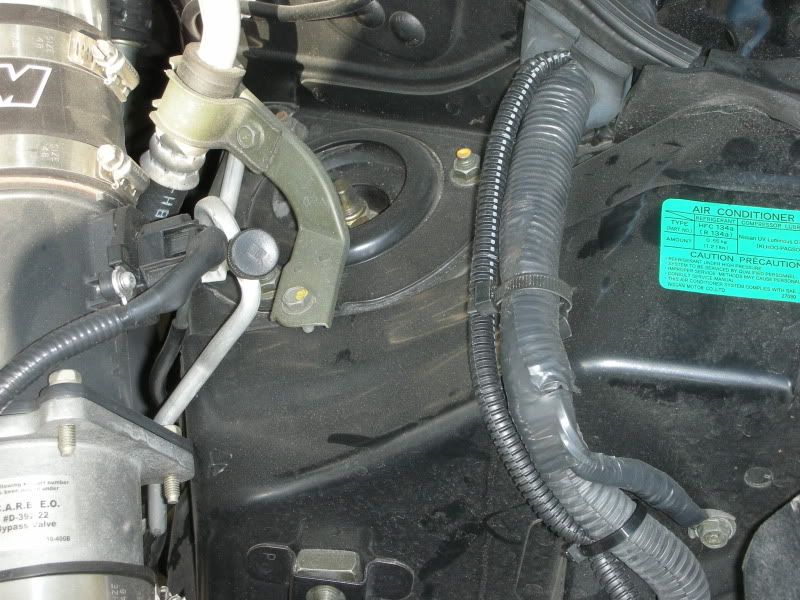 DSCN1977.jpg