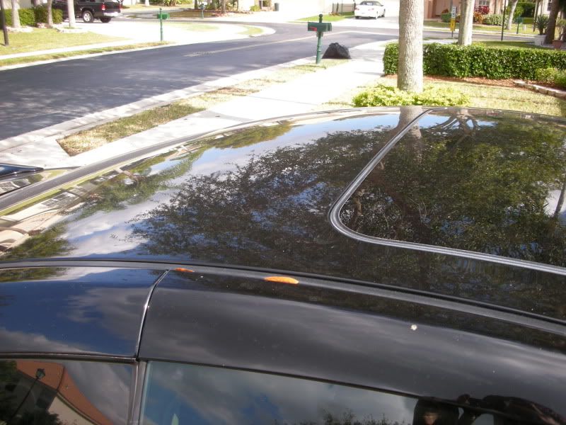 DSCN1987.jpg