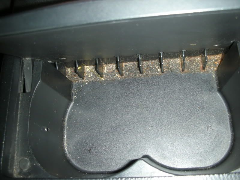 DSCN1991.jpg