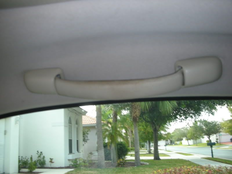 DSCN1998.jpg