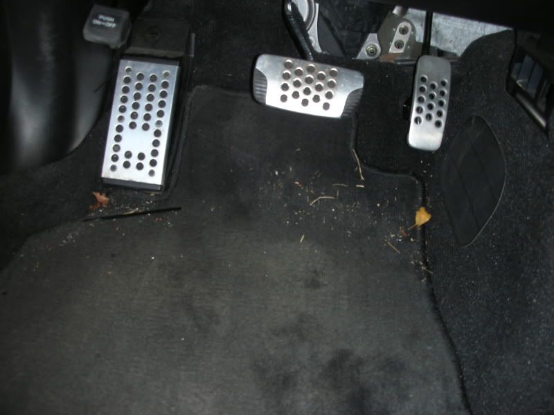DSCN2002.jpg