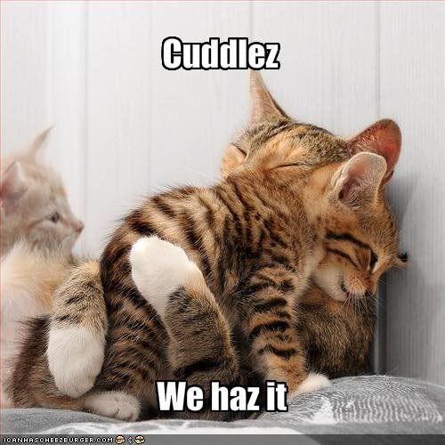 cuddlez.jpg