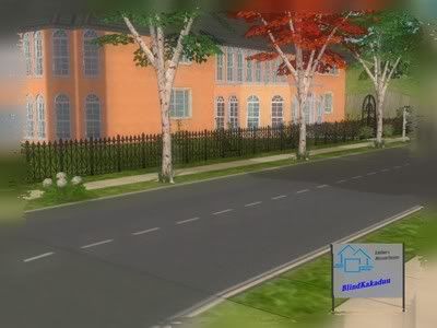 snapshot_00000008_9028432c.jpg