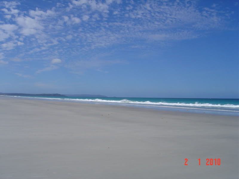 Marbled Meat - Cattle