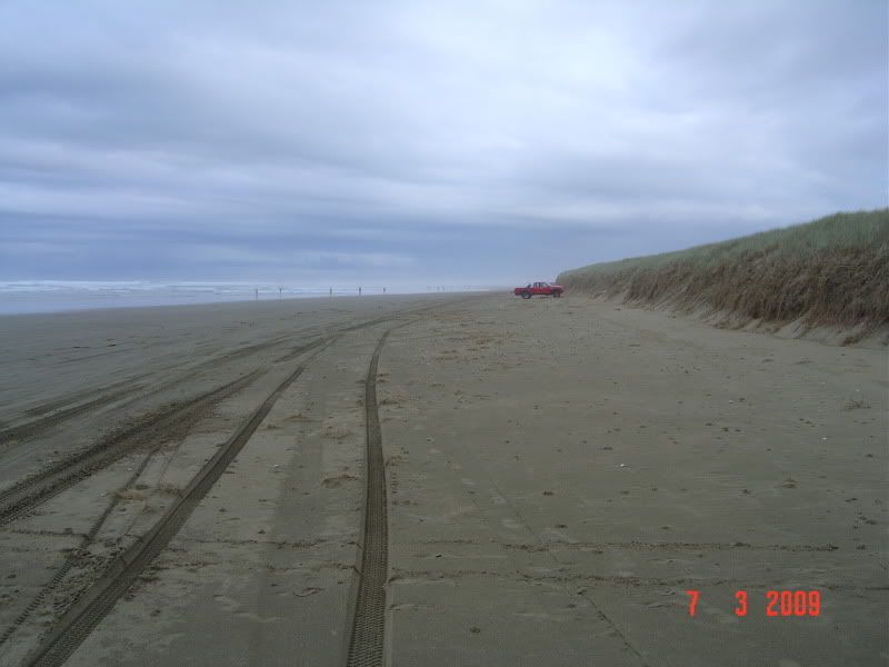 Marbled Meat - Cattle