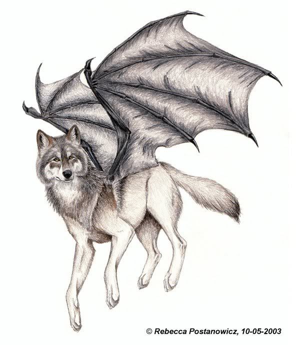 Bat_winged_wolf_by_lioncrusher.jpg image by X_Dragon_Guardian_X