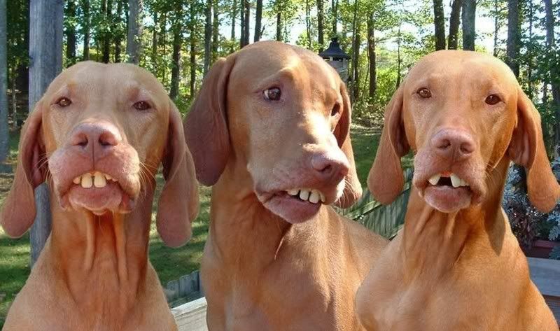 badteeth.jpg