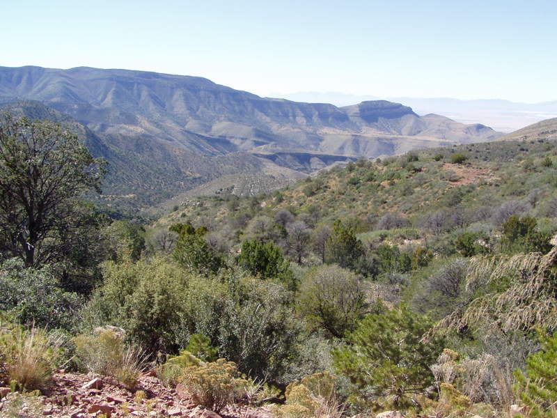 New Mexico Mule Deer Public Land DIY 2 Cool Fishing Forum