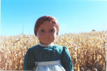 Cornfield