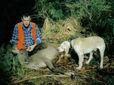 hindandplugger.jpg