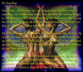 [IMG]http://i13.photobucket.com/albums/a298/remco-1985/tweelingcopy.jpg[/IMG]