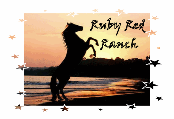 Image hosted by Photobucket.com