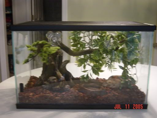 crestiecage001.jpg