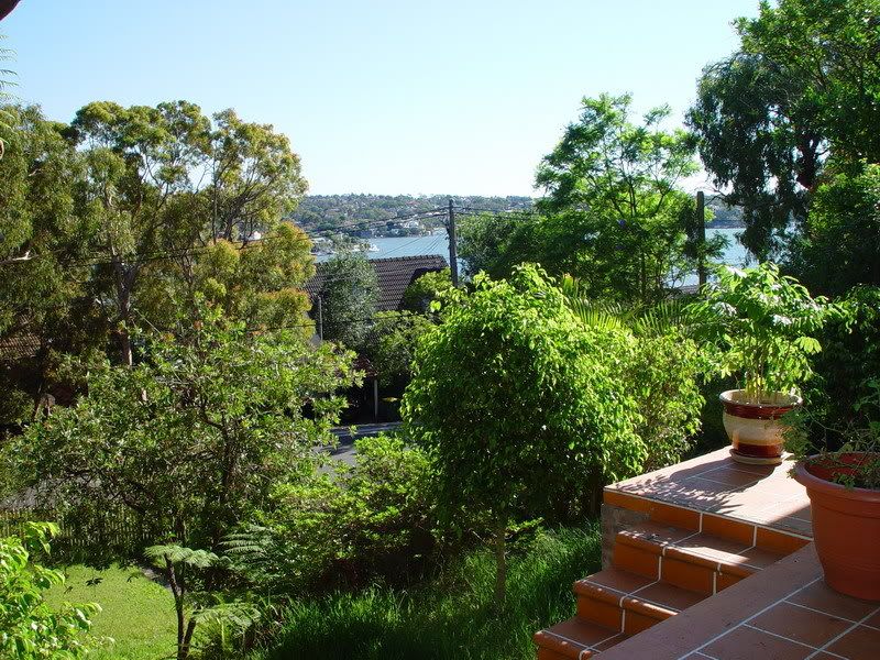 [Image: frontyard.jpg]