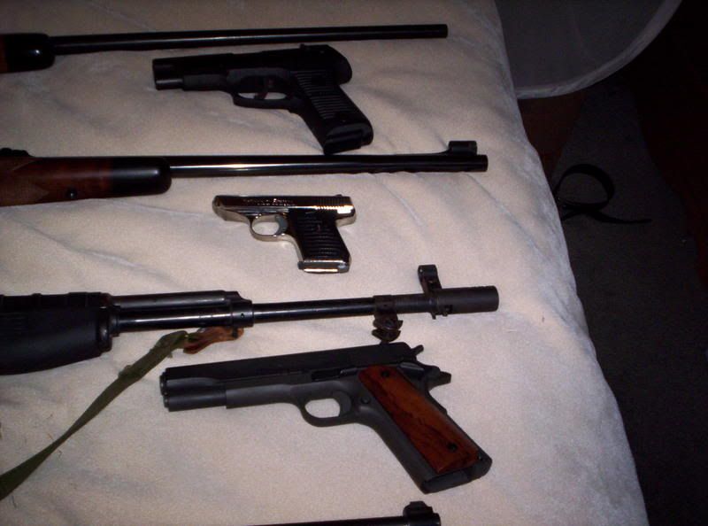 [Image: 100_0821.jpg]