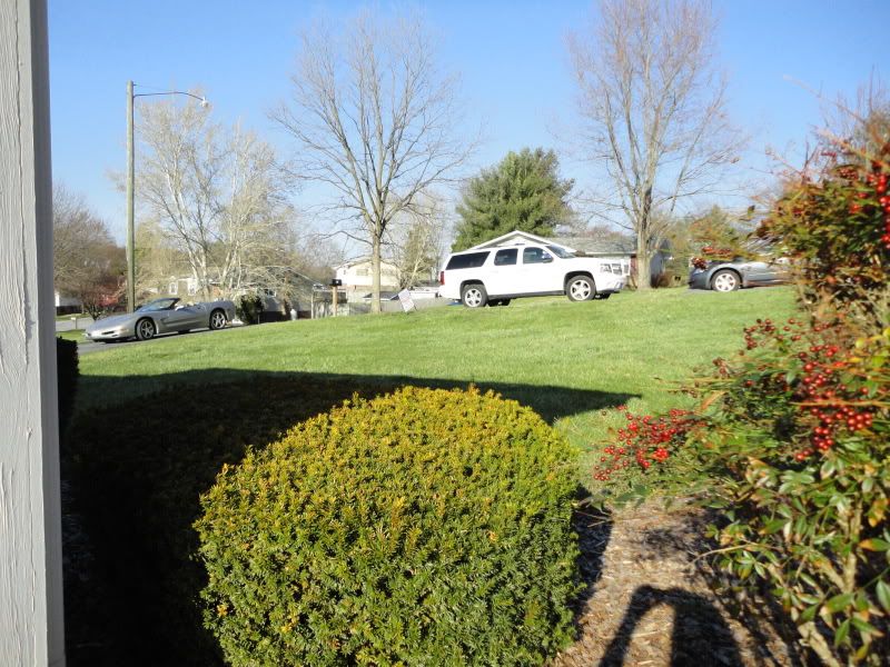 [Image: DSC00924.jpg]