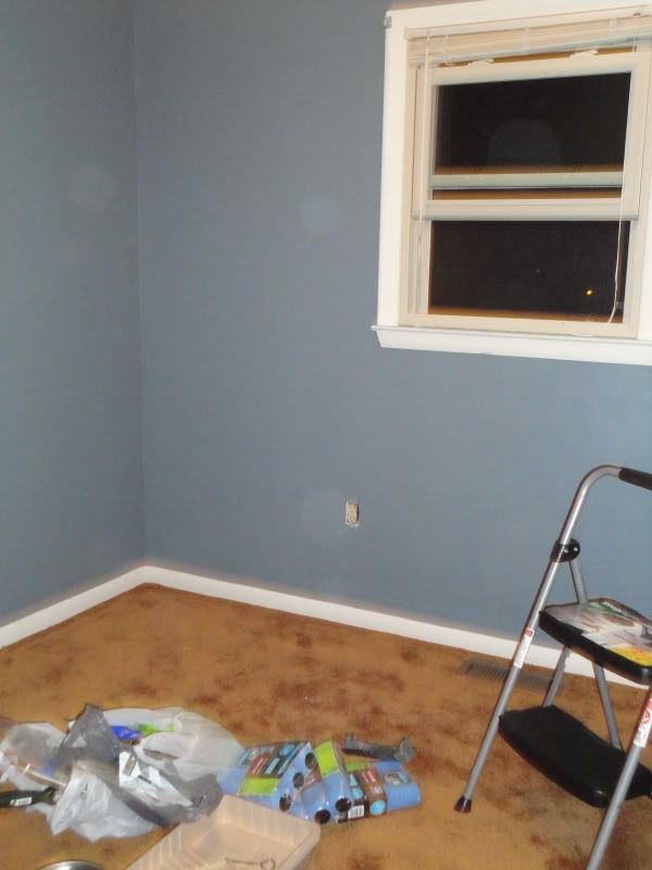 [Image: DSC01041.jpg]