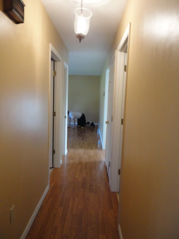 [Image: DSC01053.jpg]