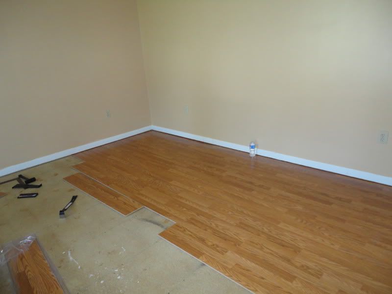 [Image: DSC01057.jpg]