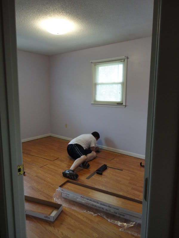 [Image: DSC01061.jpg]