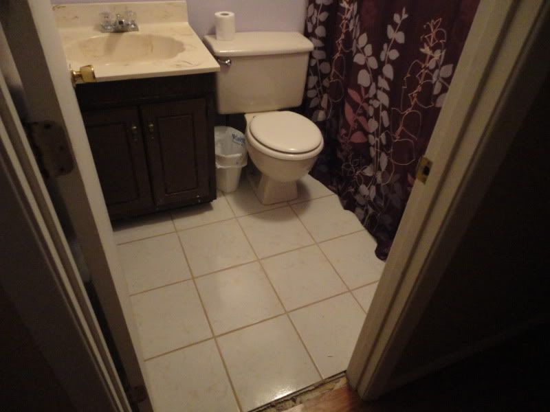 [Image: DSC01116.jpg]