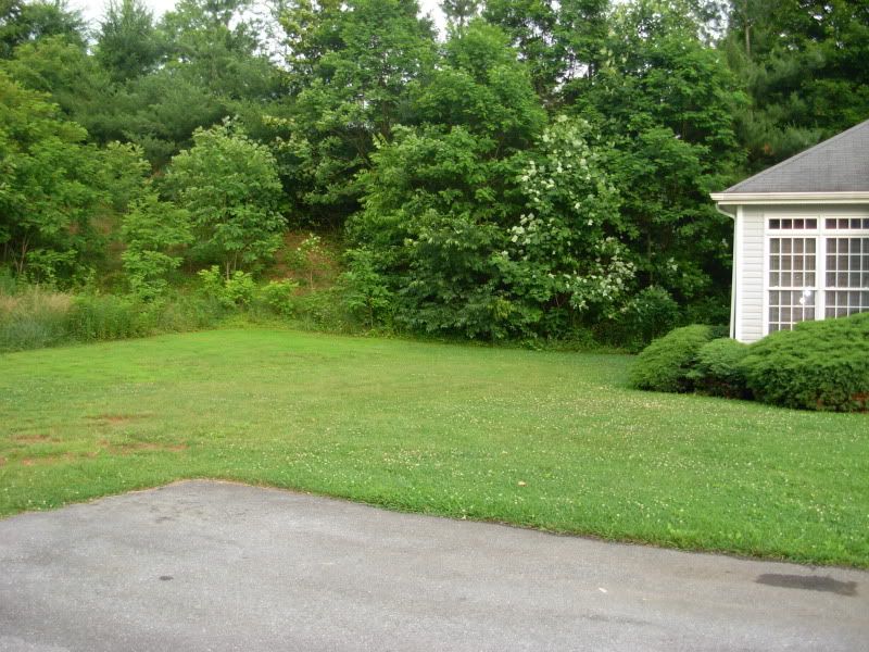 [Image: DSCN2395.jpg]