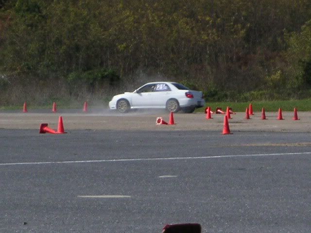 [Image: PICT0105.jpg]