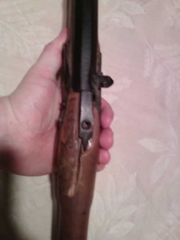 [Image: SSPX0146.jpg]