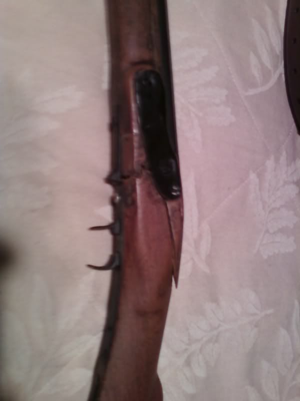 [Image: SSPX0147.jpg]