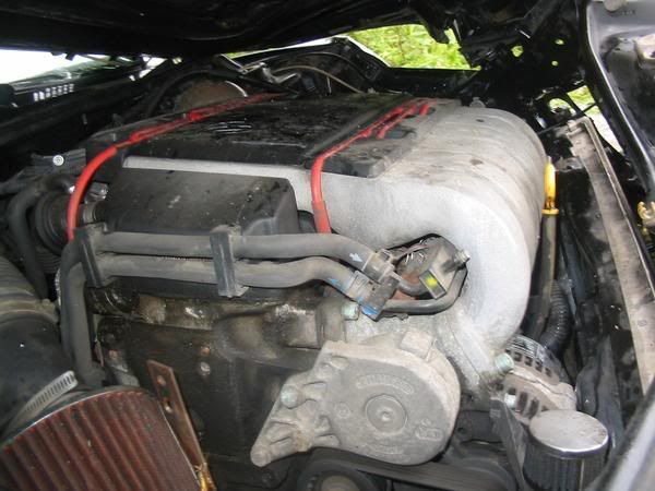 [Image: l_48c8c5207504912e88f2844f7adf6490.jpg]