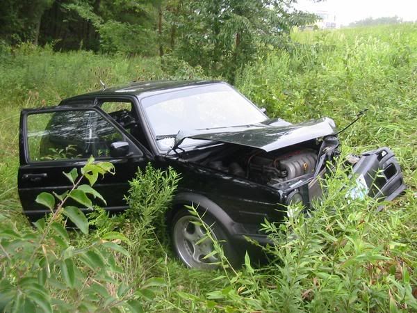 [Image: l_cc79eaef837907683c38d03f810e646b.jpg]