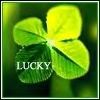 lucky 4 leaf cloverrr