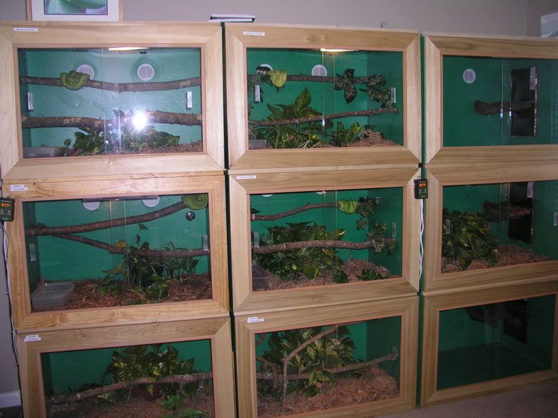 cages1125jpg.jpg