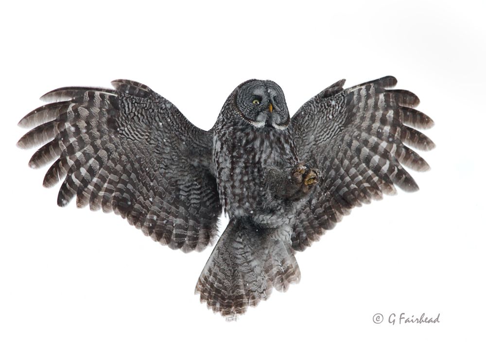 IMAGE: http://i13.photobucket.com/albums/a300/g2a/2010/Outreach2copy_zps6de82197.jpg