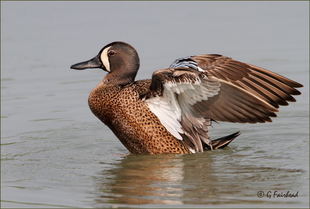 IMAGE: http://i13.photobucket.com/albums/a300/g2a/BWT2copy.jpg