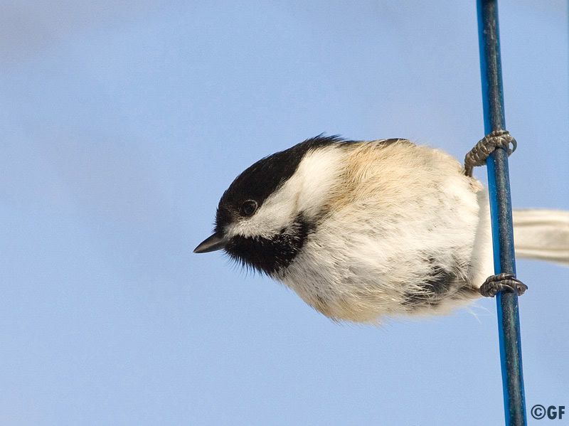 IMAGE: http://i13.photobucket.com/albums/a300/g2a/Holding%20Pattern/90-degree.jpg