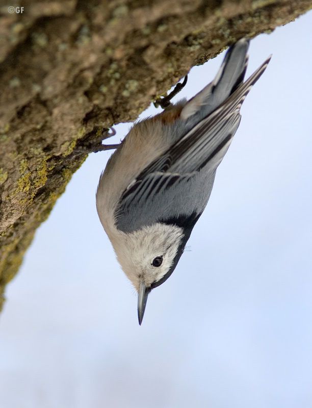 IMAGE: http://i13.photobucket.com/albums/a300/g2a/Holding%20Pattern/94.jpg