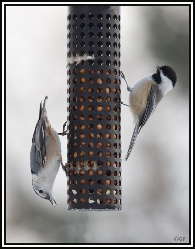 IMAGE: http://i13.photobucket.com/albums/a300/g2a/Holding%20Pattern/96.jpg