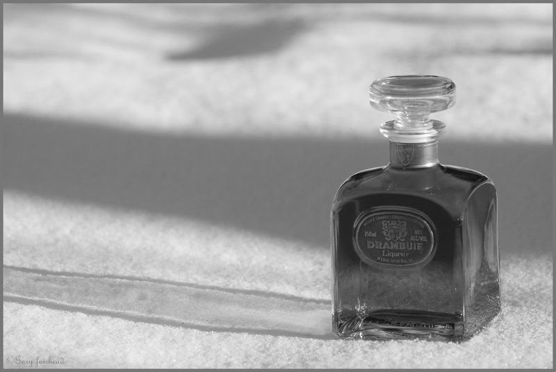 IMAGE: http://i13.photobucket.com/albums/a300/g2a/Holding%20Pattern/IMG_5147bw.jpg