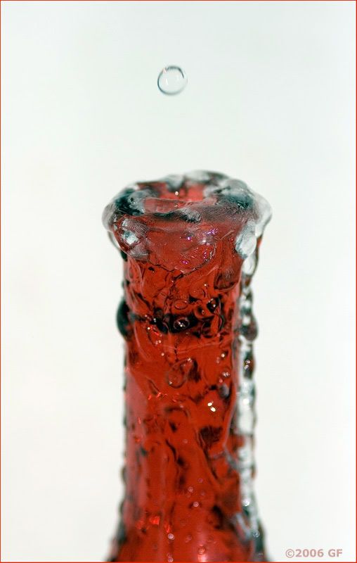 IMAGE: http://i13.photobucket.com/albums/a300/g2a/Holding%20Pattern/IMG_5628.jpg