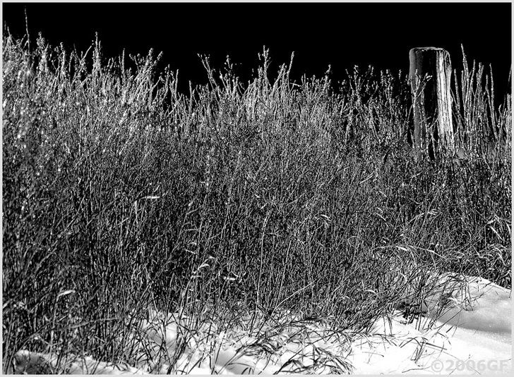 IMAGE: http://i13.photobucket.com/albums/a300/g2a/Holding%20Pattern/IMG_5715.jpg