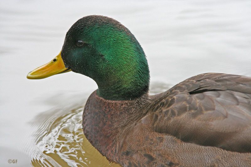 IMAGE: http://i13.photobucket.com/albums/a300/g2a/Holding%20Pattern/MAL3.jpg