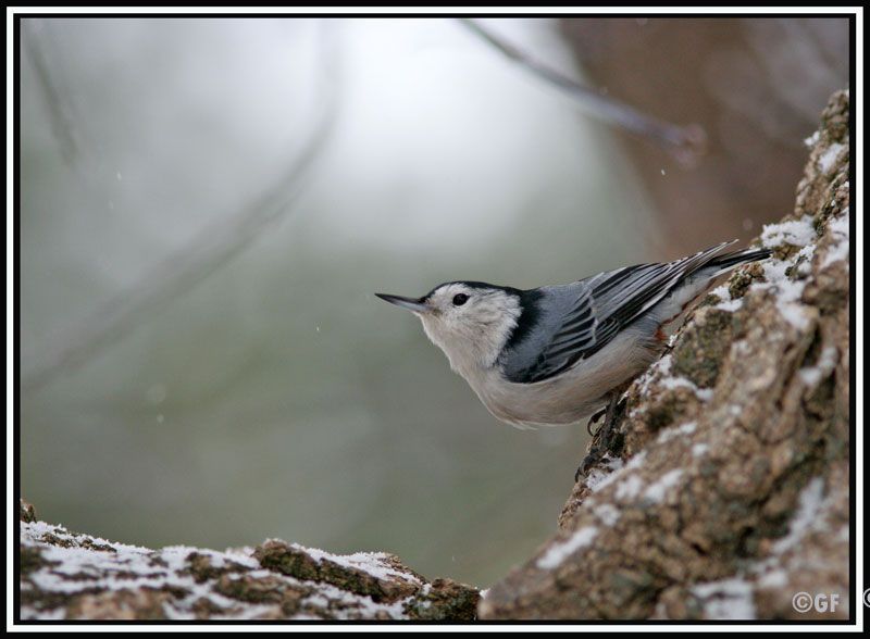 IMAGE: http://i13.photobucket.com/albums/a300/g2a/Holding%20Pattern/WB5web.jpg