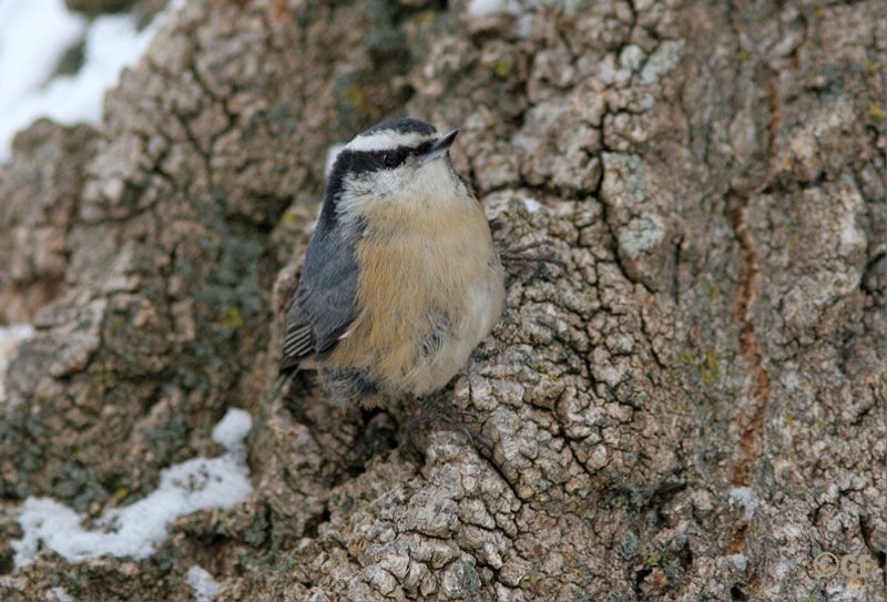 IMAGE: http://i13.photobucket.com/albums/a300/g2a/Holding%20Pattern/again.jpg