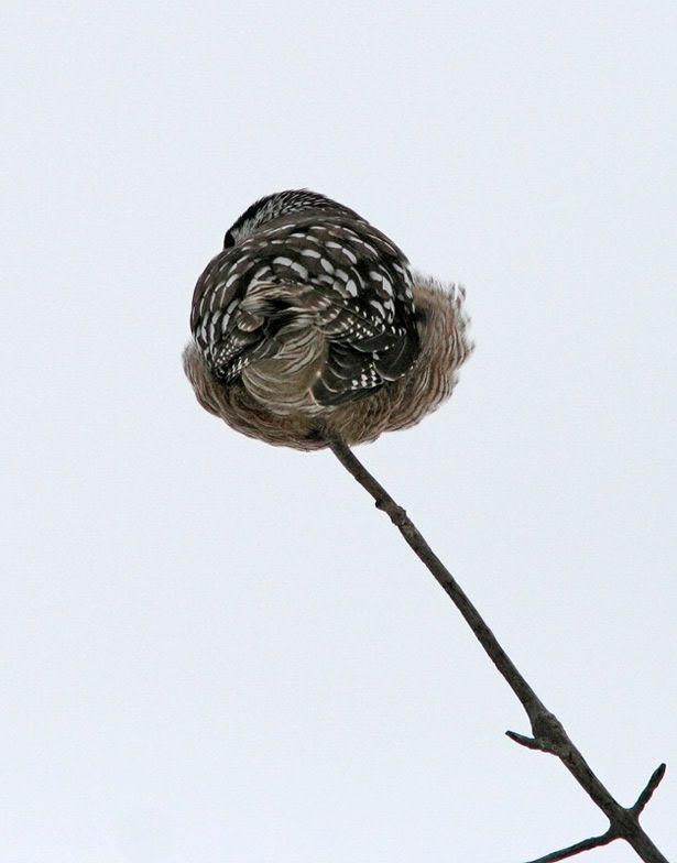 IMAGE: http://i13.photobucket.com/albums/a300/g2a/Holding%20Pattern/fixed.jpg