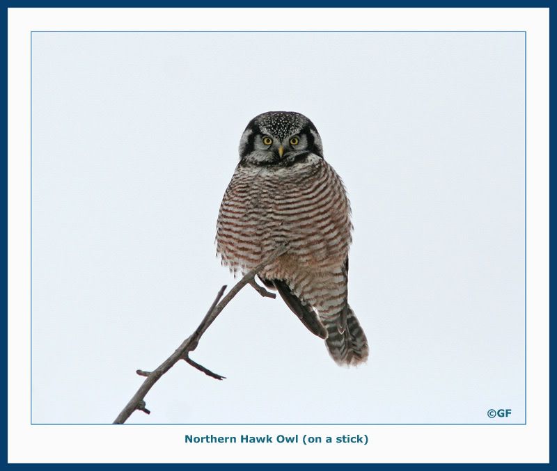 IMAGE: http://i13.photobucket.com/albums/a300/g2a/Holding%20Pattern/framed.jpg